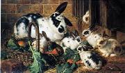 unknow artist Rabbits 198 France oil painting artist